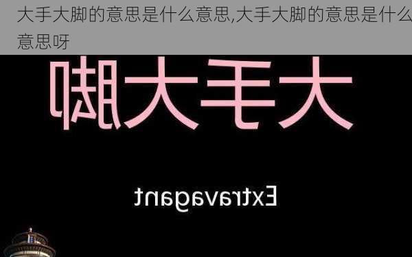 大手大脚的意思是什么意思,大手大脚的意思是什么意思呀