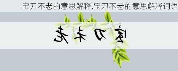 宝刀不老的意思解释,宝刀不老的意思解释词语