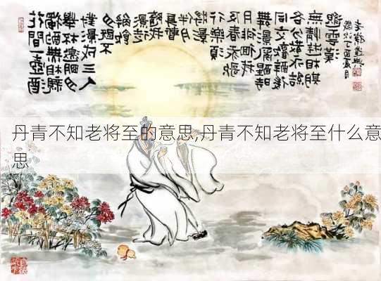 丹青不知老将至的意思,丹青不知老将至什么意思