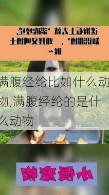 满腹经纶比如什么动物,满腹经纶的是什么动物