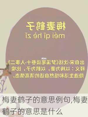 梅妻鹤子的意思例句,梅妻鹤子的意思是什么