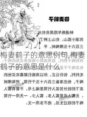 梅妻鹤子的意思例句,梅妻鹤子的意思是什么