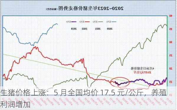 生猪价格上涨：5 月全国均价 17.5 元/公斤，养殖利润增加