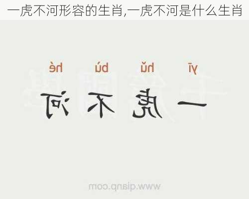 一虎不河形容的生肖,一虎不河是什么生肖