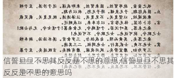 信誓旦旦不思其反反是不思的意思,信誓旦旦不思其反反是不思的意思吗