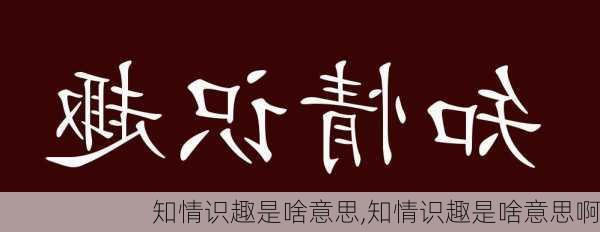 知情识趣是啥意思,知情识趣是啥意思啊