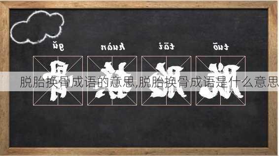 脱胎换骨成语的意思,脱胎换骨成语是什么意思