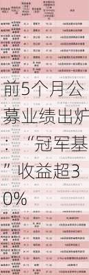 前5个月公募业绩出炉：“冠军基”收益超30%