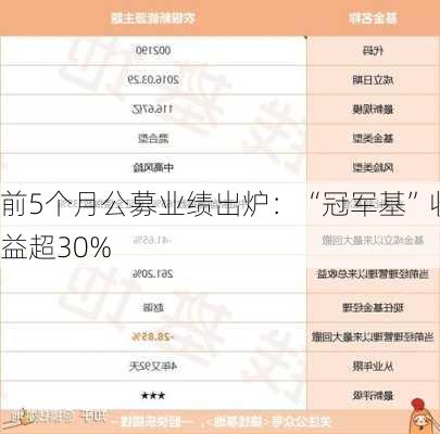 前5个月公募业绩出炉：“冠军基”收益超30%