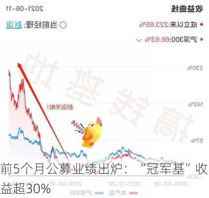 前5个月公募业绩出炉：“冠军基”收益超30%