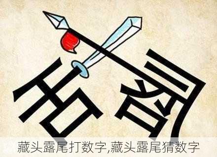 藏头露尾打数字,藏头露尾猜数字