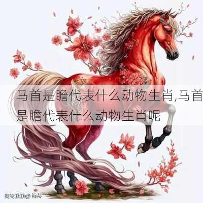 马首是瞻代表什么动物生肖,马首是瞻代表什么动物生肖呢