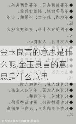 金玉良言的意思是什么呢,金玉良言的意思是什么意思