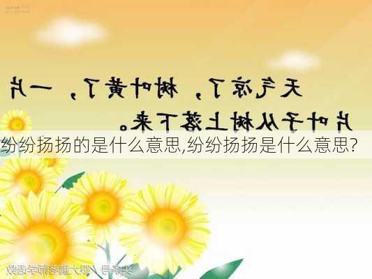 纷纷扬扬的是什么意思,纷纷扬扬是什么意思?