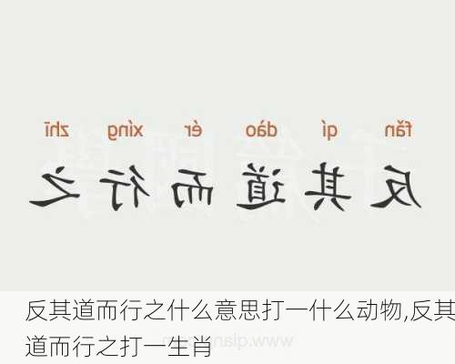 反其道而行之什么意思打一什么动物,反其道而行之打一生肖