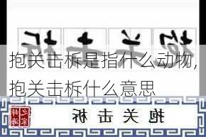 抱关击柝是指什么动物,抱关击柝什么意思