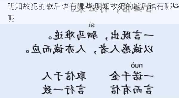 明知故犯的歇后语有哪些,明知故犯的歇后语有哪些呢