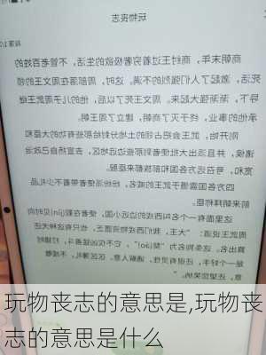 玩物丧志的意思是,玩物丧志的意思是什么