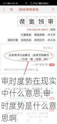 审时度势在现实中什么意思,审时度势是什么意思啊