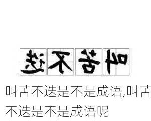 叫苦不迭是不是成语,叫苦不迭是不是成语呢