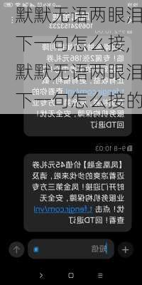 默默无语两眼泪下一句怎么接,默默无语两眼泪下一句怎么接的