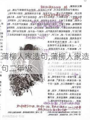 蒲柳人家造句,蒲柳人家造句二年级