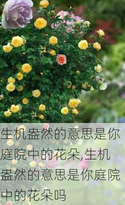 生机盎然的意思是你庭院中的花朵,生机盎然的意思是你庭院中的花朵吗