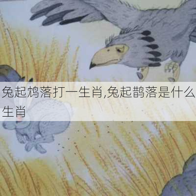 兔起鸩落打一生肖,兔起鹊落是什么生肖