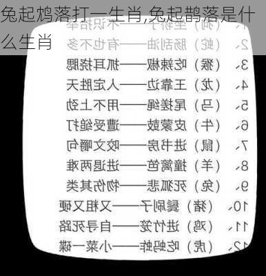 兔起鸩落打一生肖,兔起鹊落是什么生肖