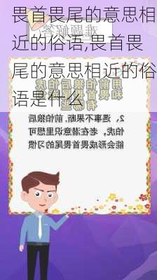 畏首畏尾的意思相近的俗语,畏首畏尾的意思相近的俗语是什么