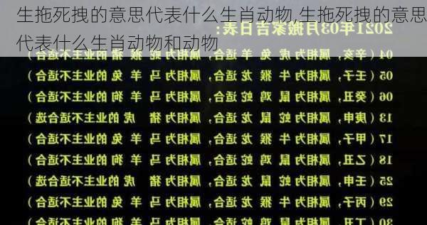 生拖死拽的意思代表什么生肖动物,生拖死拽的意思代表什么生肖动物和动物