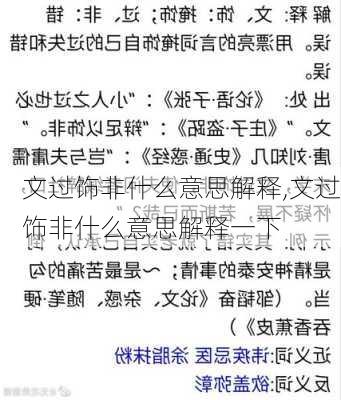 文过饰非什么意思解释,文过饰非什么意思解释一下