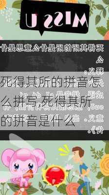 死得其所的拼音怎么拼写,死得其所的拼音是什么