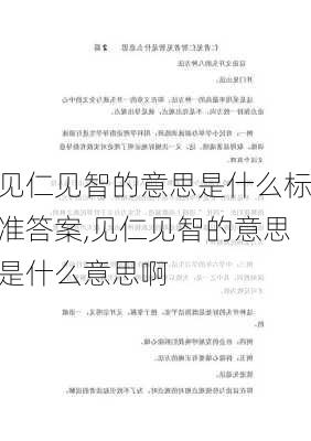 见仁见智的意思是什么标准答案,见仁见智的意思是什么意思啊