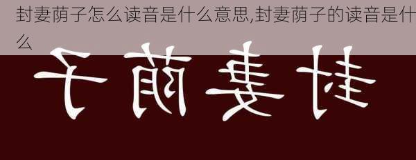 封妻荫子怎么读音是什么意思,封妻荫子的读音是什么