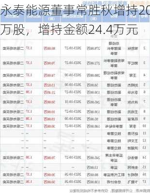 永泰能源董事常胜秋增持20万股，增持金额24.4万元