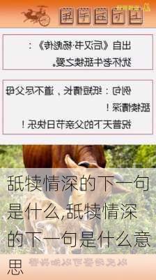 舐犊情深的下一句是什么,舐犊情深的下一句是什么意思