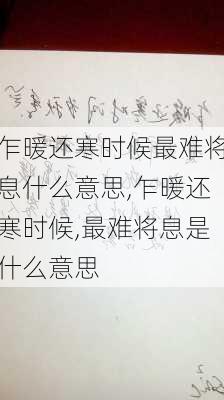 乍暖还寒时候最难将息什么意思,乍暖还寒时候,最难将息是什么意思