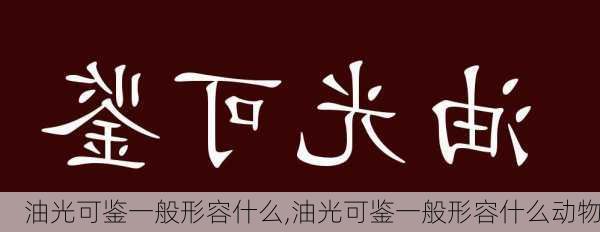 油光可鉴一般形容什么,油光可鉴一般形容什么动物