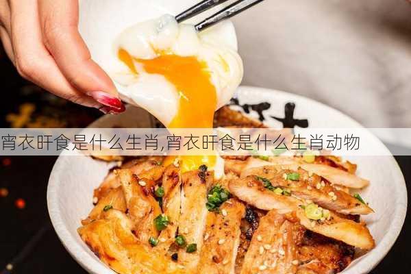 宵衣旰食是什么生肖,宵衣旰食是什么生肖动物