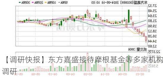 【调研快报】东方嘉盛接待摩根基金等多家机构调研