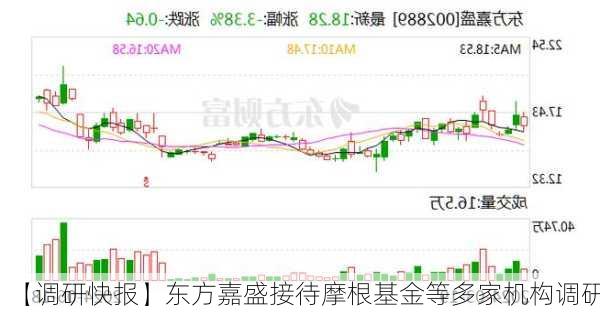 【调研快报】东方嘉盛接待摩根基金等多家机构调研