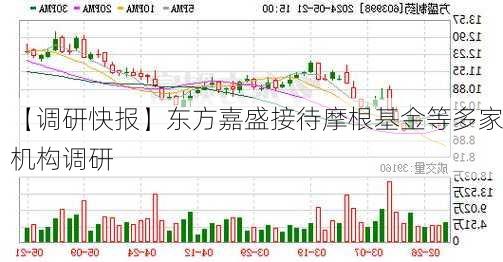 【调研快报】东方嘉盛接待摩根基金等多家机构调研