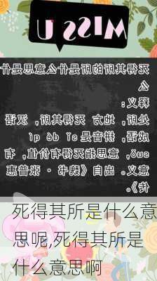 死得其所是什么意思呢,死得其所是什么意思啊