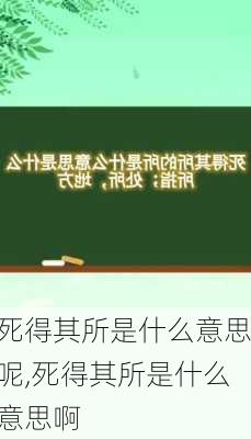 死得其所是什么意思呢,死得其所是什么意思啊