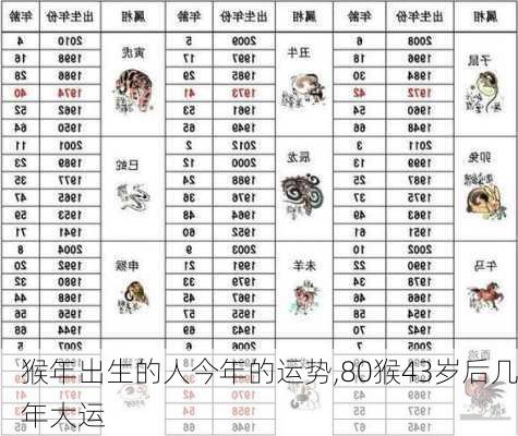 猴年出生的人今年的运势,80猴43岁后几年大运