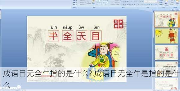 成语目无全牛指的是什么?,成语目无全牛是指的是什么