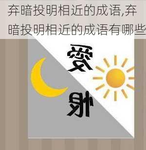 弃暗投明相近的成语,弃暗投明相近的成语有哪些