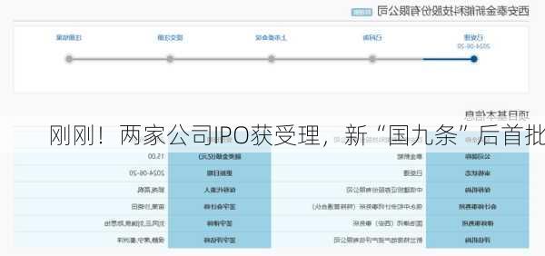 刚刚！两家公司IPO获受理，新“国九条”后首批