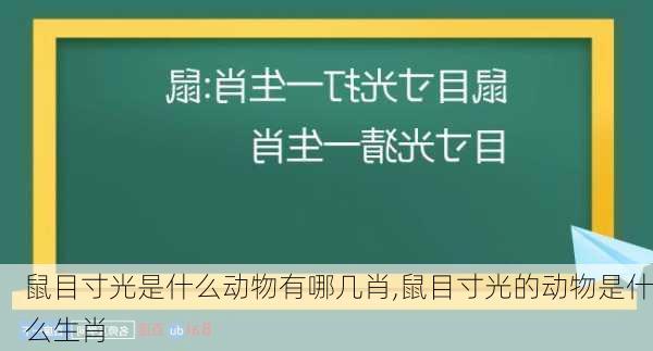 鼠目寸光是什么动物有哪几肖,鼠目寸光的动物是什么生肖